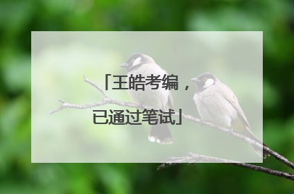 王皓考编，已通过笔试