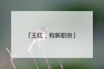 王红，有新职务