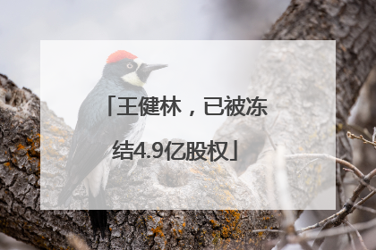 王健林，已被冻结4.9亿股权