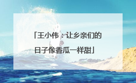 王小伟：让乡亲们的日子像香瓜一样甜