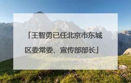 王智勇已任北京市东城区委常委、宣传部部长