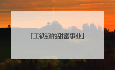 王铁强的甜蜜事业