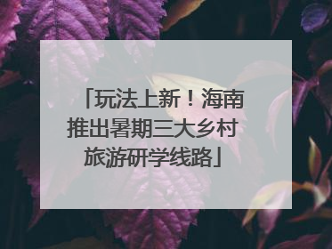 玩法上新！海南推出暑期三大乡村旅游研学线路