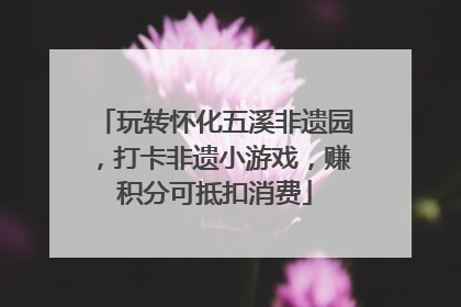 玩转怀化五溪非遗园，打卡非遗小游戏，赚积分可抵扣消费