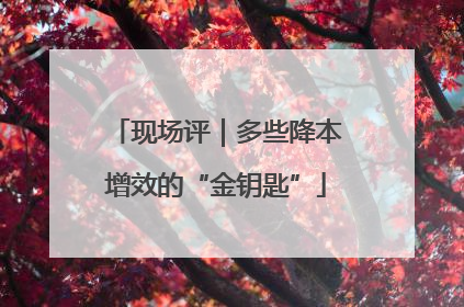 现场评｜多些降本增效的“金钥匙”
