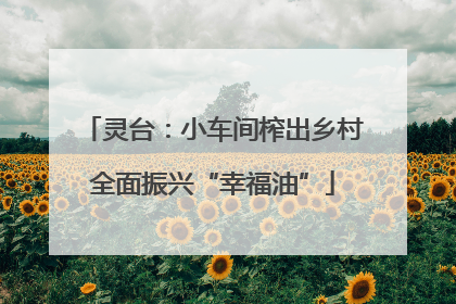 灵台：小车间榨出乡村全面振兴“幸福油”
