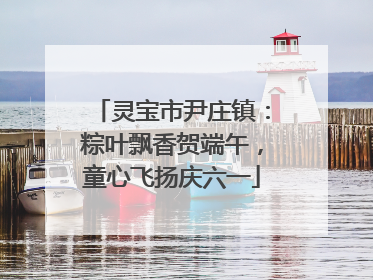 灵宝市尹庄镇:粽叶飘香贺端午,童心飞扬庆六一