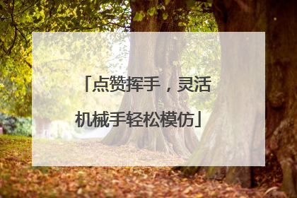 点赞挥手，灵活机械手轻松模仿