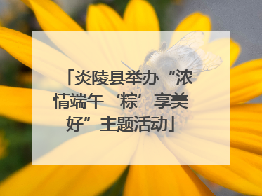 炎陵县举办“浓情端午‘粽’享美好”主题活动
