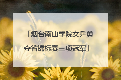 烟台南山学院女乒勇夺省锦标赛三项冠军