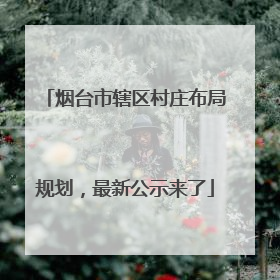烟台市辖区村庄布局规划，最新公示来了