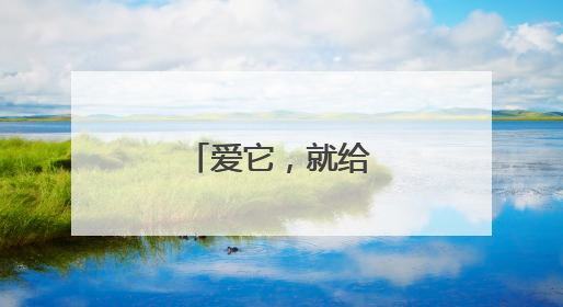 爱它，就给它自由！