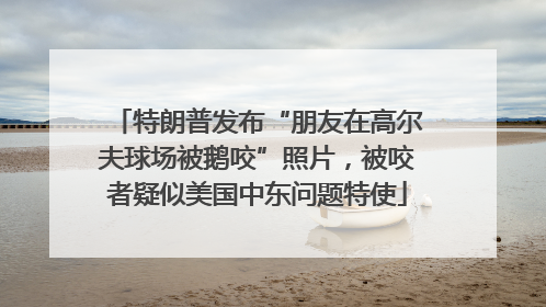 特朗普发布“朋友在高尔夫球场被鹅咬”照片，被咬者疑似美国中东问题特使