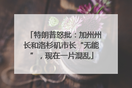特朗普怒批：加州州长和洛杉矶市长“无能”，现在一片混乱