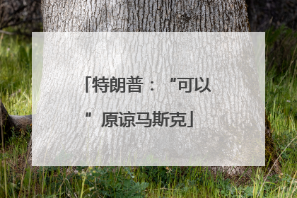 特朗普：“可以”原谅马斯克