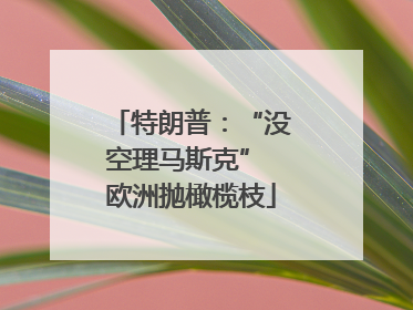 特朗普：“没空理马斯克” 欧洲抛橄榄枝