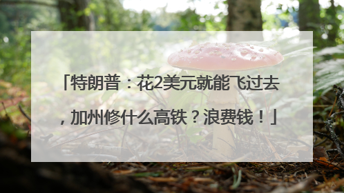 特朗普：花2美元就能飞过去，加州修什么高铁？浪费钱！