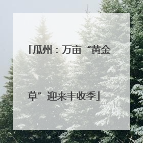 瓜州：万亩“黄金草”迎来丰收季