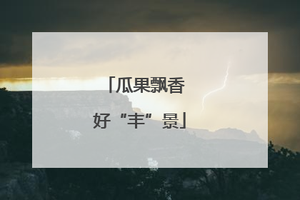 瓜果飘香 好“丰”景