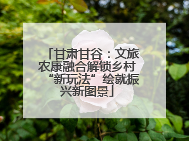 甘肃甘谷：文旅农康融合解锁乡村“新玩法”绘就振兴新图景