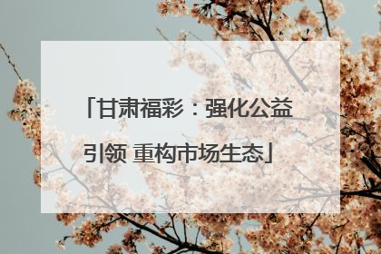 甘肃福彩：强化公益引领 重构市场生态