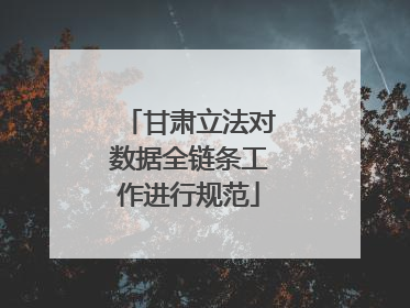 甘肃立法对数据全链条工作进行规范
