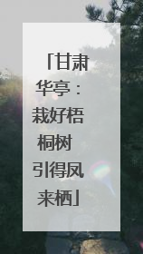 甘肃华亭：栽好梧桐树 引得凤来栖