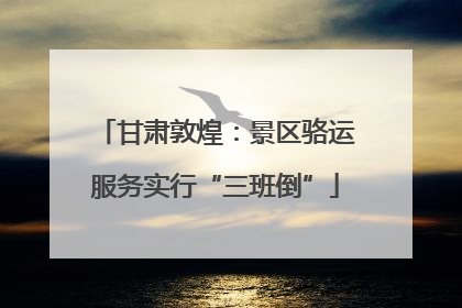 甘肃敦煌：景区骆运服务实行“三班倒”