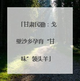 甘肃民勤：戈壁沙乡孕育“甘味”领头羊