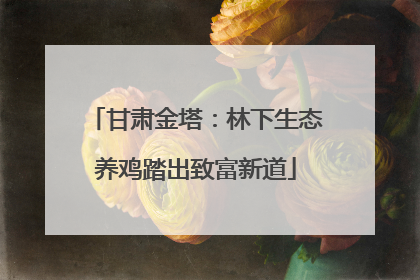 甘肃金塔：林下生态养鸡踏出致富新道