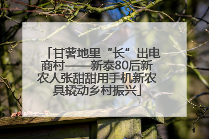 甘薯地里“长”出电商村——新泰80后新农人张甜甜用手机新农具撬动乡村振兴