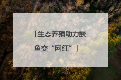 生态养殖助力鳜鱼变“网红”
