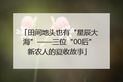 田间地头也有“星辰大海”——三位“00后”新农人的夏收故事