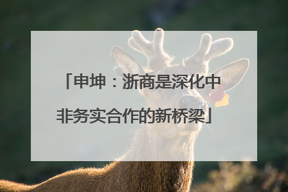 申坤：浙商是深化中非务实合作的新桥梁