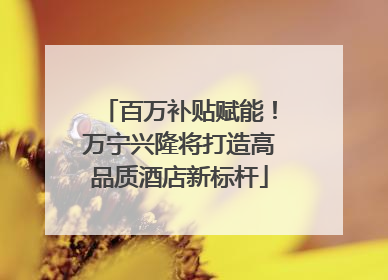 百万补贴赋能！万宁兴隆将打造高品质酒店新标杆
