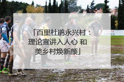 百里杜鹃永兴村：理论宣讲入人心 和美乡村焕新颜