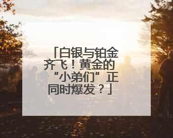 白银与铂金齐飞！黄金的“小弟们”正同时爆发？