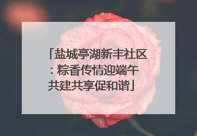 盐城亭湖新丰社区：粽香传情迎端午 共建共享促和谐