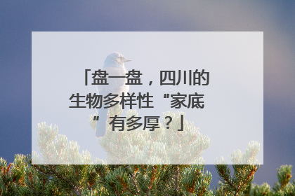 盘一盘，四川的生物多样性“家底”有多厚？