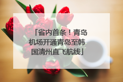 省内首条！青岛机场开通青岛至韩国清州直飞航线