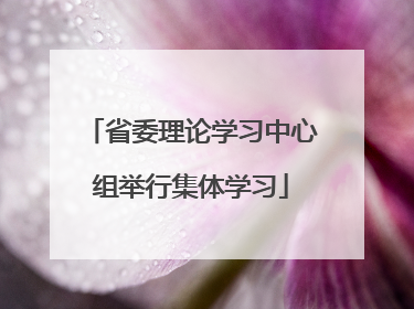 省委理论学习中心组举行集体学习