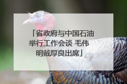 省政府与中国石油举行工作会谈 毛伟明戴厚良出席
