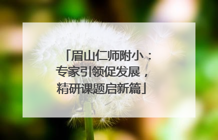 眉山仁师附小：专家引领促发展，精研课题启新篇