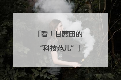 看！甘蔗田的“科技范儿”
