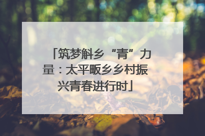 筑梦斛乡“青”力量：太平畈乡乡村振兴青春进行时