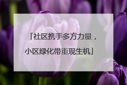 社区携手多方力量，小区绿化带重现生机