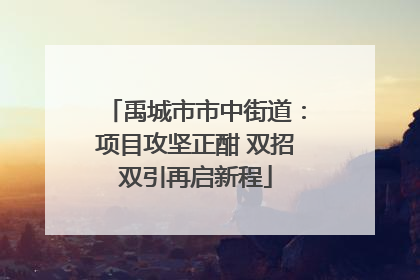 禹城市市中街道：项目攻坚正酣 双招双引再启新程