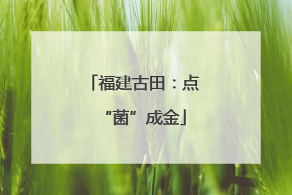 福建古田：点“菌”成金