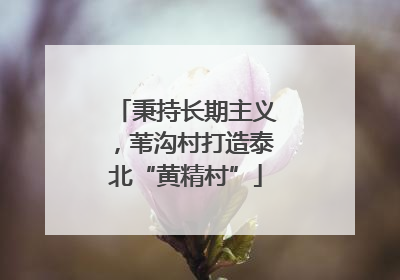 秉持长期主义，苇沟村打造泰北“黄精村”