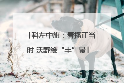 科左中旗：春播正当时 沃野绘“丰”景